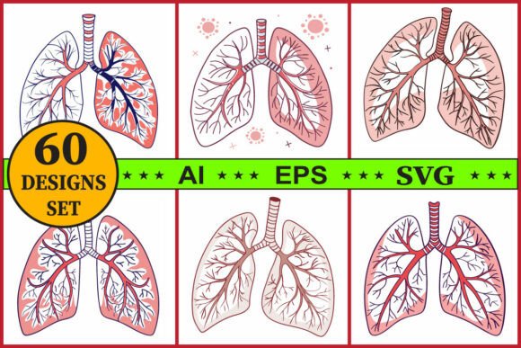 Human Lungs Anatomy Vector Set